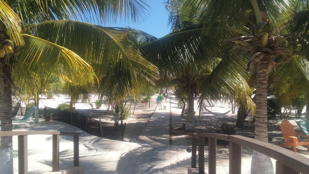 Hotel & Villas Playa Maya Resorts 셀레스툰 외부 사진